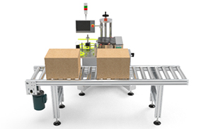 紙箱表面打印貼標(biāo)(biāo)機(jī)(jī)